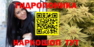 2c-b Можга