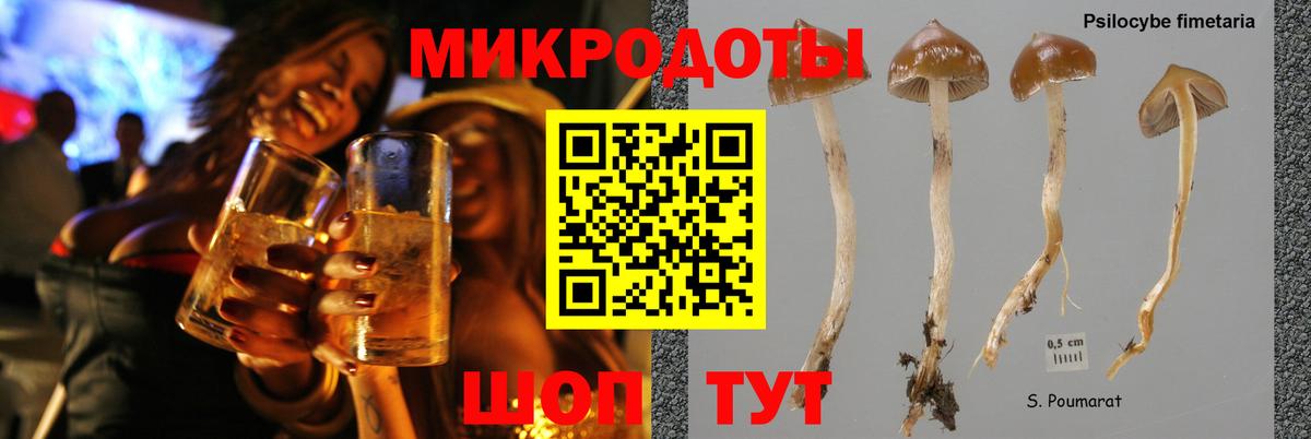 Псилоцибиновые грибы GOLDEN TEACHER  Вход с VPN  наркотики  Учалы 